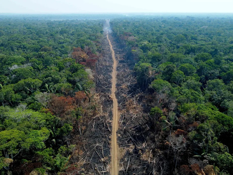 Rota do desmatamento em Humaitá (AM)