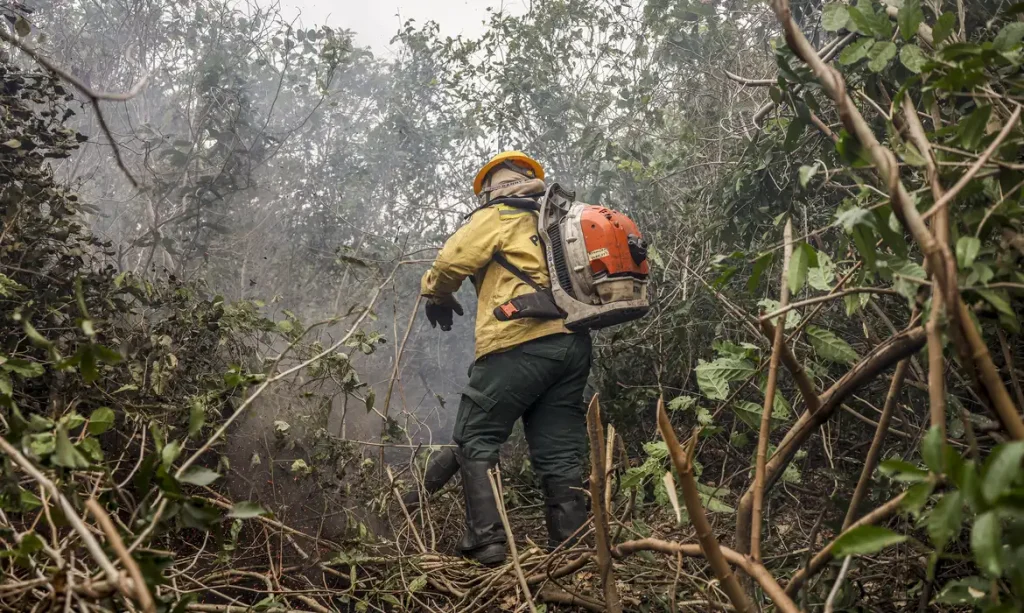 Incêndios no Amazonas resultam de ação humana intencional, diz ministro